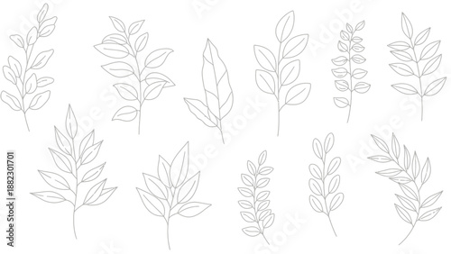 Collection of delicate hand drawn botanical line art featuring various styles of stylized leafy branches perfect for elegant natural design projects and organic illustration needs.