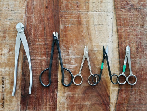 Bonsai Wire Cutters