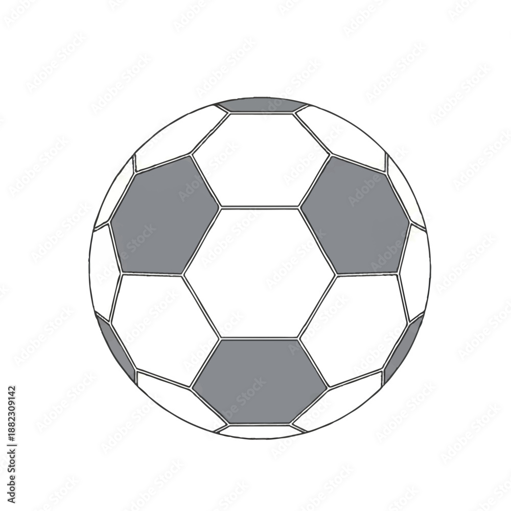 Fototapeta premium soccer ball isolated on white