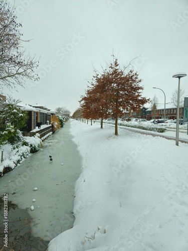 A snowy landscape in the Netherlands. close up frozen river with logs in winter park. Sunrise river in a Cold Winter landscape with snow and frost.