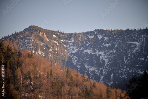 Dramatic rock wall and snowy cirque glow under sunset light above leafless trees and dark conifers—classic Chiemgau relief in winter.