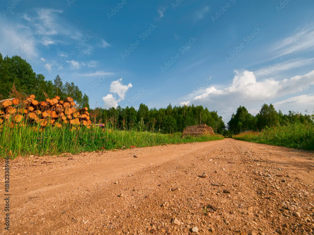 Obraz premium A pile of logs is stacked in a field. The sky is cloudy and green forest in the background, warm sunny summer day. Timber production industry. Traditional material supply for different business.