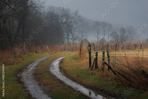 Lane leading into a field