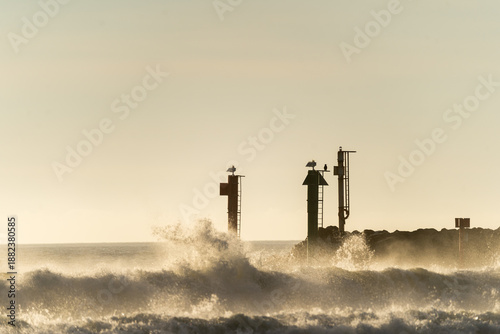silhouette of poles with birds at sunrise over waves crashing from the ocean