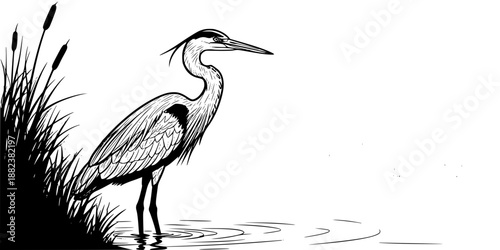 A tall, elegant Great Blue Heron standing among minimalist marsh reeds and water ripples.