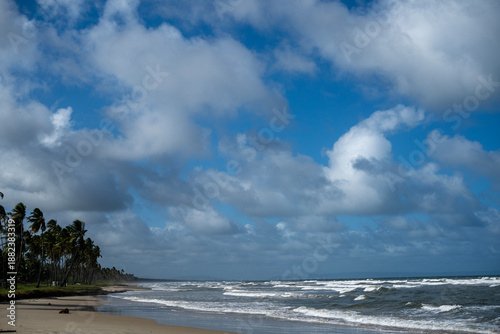 a beach full of coconut palms in Tucacas, Venezuela