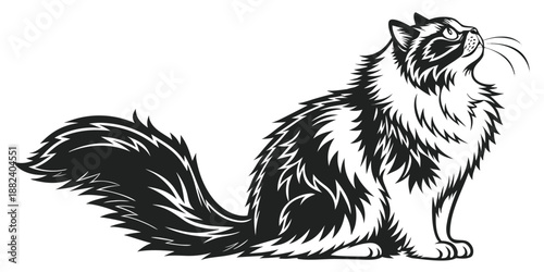Elegant Black and White Stylized Cat Vector Illustration with Fluffy Tail