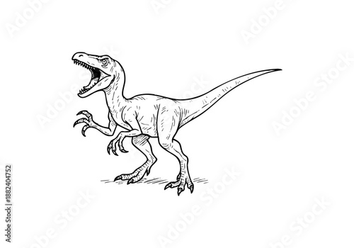 Velociraptor hand drawn simple sketch vector illustration
