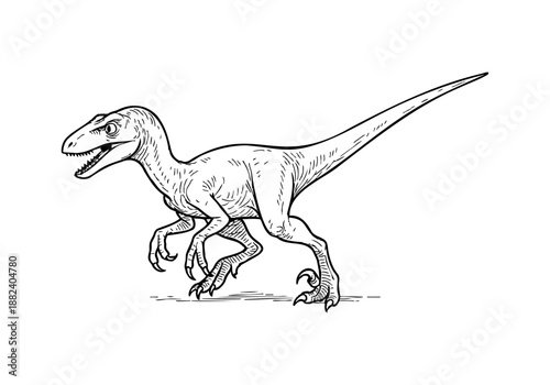 Velociraptor hand drawn simple sketch vector illustration