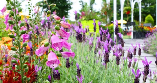 Delicate Flowers Swaying Gently in the Summer Breeze
