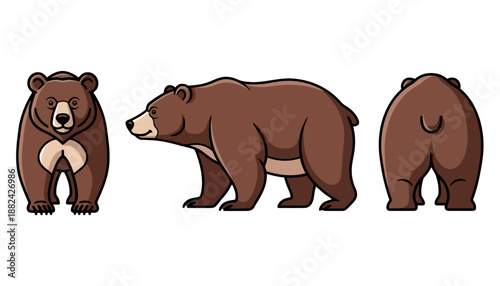 Cartoon Illustration of a Brown Bear in Front Side and Back Views.