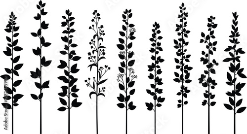 Black botanical branch silhouette collection, tall leafy plant stems set, minimalist nature vector elements for decorative pattern design, isolated white.