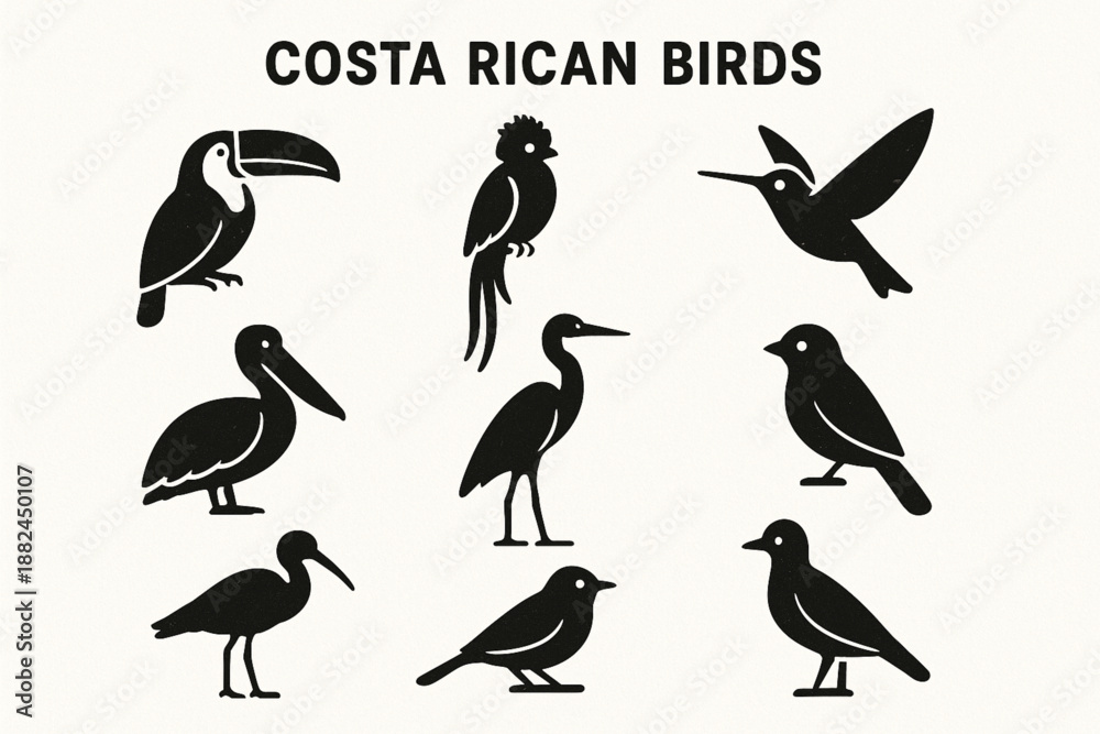 Fototapeta premium Costa Rican Birds Icon Grid with Tropical Species and Textured Vector Style