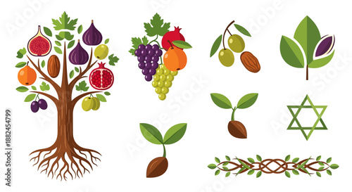 Illustration of the Seven Species of Israel, including a fruit-bearing tree, grapes, pomegranates, olives, dates, sprouts, and a Star of David.