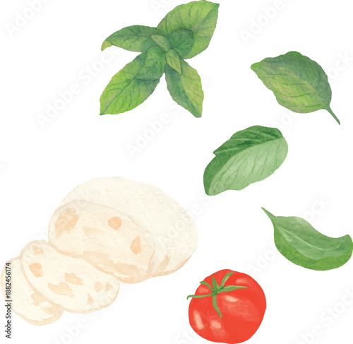 Vector illustration set of mozzarella, tomato, cherry tomatoes, and basil leaves