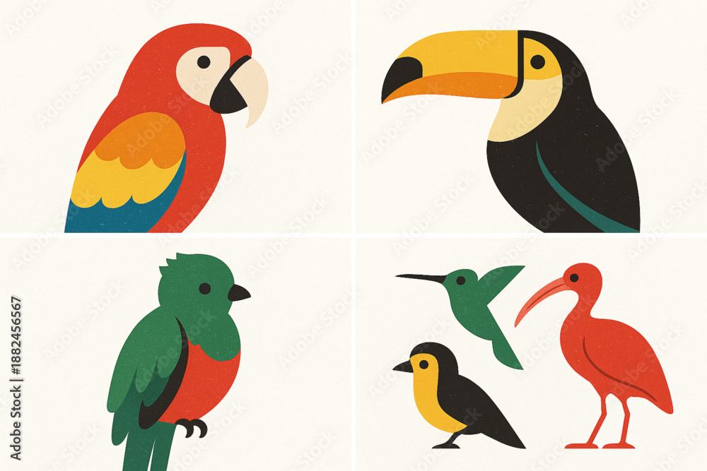 Fototapeta premium Costa Rica Bird Close-Up Icon Grid with Tropical Species and Textured Vector Style