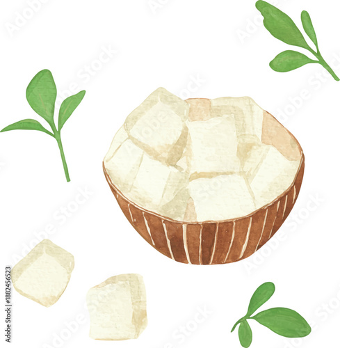 Vector illustration set of tofu: sliced tofu, tofu cubes, and tofu in bowl