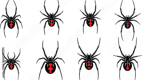 Collection of black widow spider illustrations featuring red hourglass markings, detailed arachnid designs, venomous spider symbols, and dangerous insect graphics