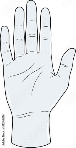 Simple Line Drawing Hand Gesture Palm Open Anatomy Illustration