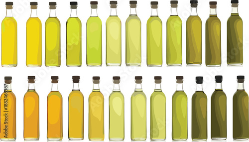 Collection of various olive oil bottles in different colors, glass container set for cooking, organic food packaging and culinary product illustration