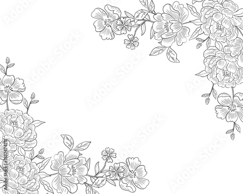 Elegant Hand Drawn Peony Floral Border