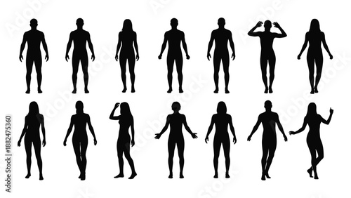 Silhouettes of various human figures isolated on white background, Vector