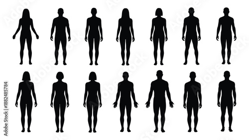 Collection of human silhouettes in various poses isolated on white background, Vector