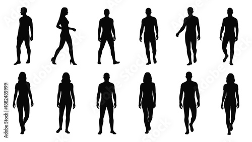 Collection of human silhouettes in various poses isolated on white background, Vector