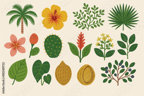 Cuban Endemic Plants and Island Nature Icon Set Vector Illustration