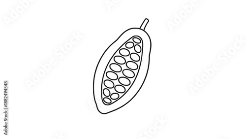 A simple line drawing of a pod with seeds on a white background