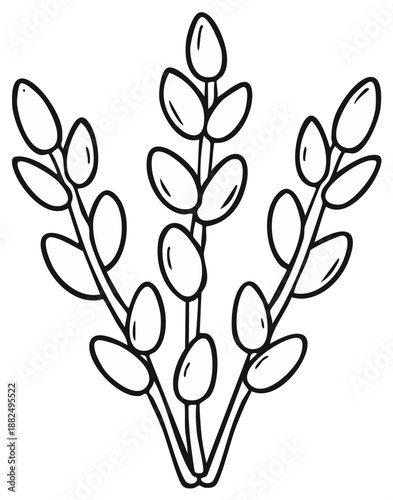 Stylized Pussy Willow Branches Line Art for Spring Nature and Easter Designs