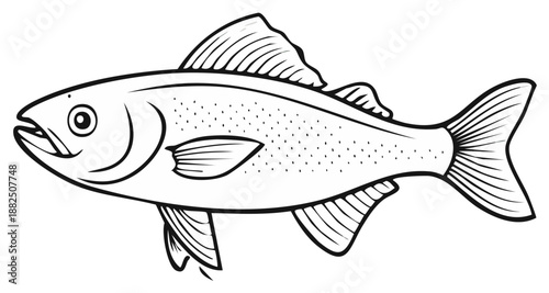 Vector illustration of a fish with fins and scales, aquatic animal art design