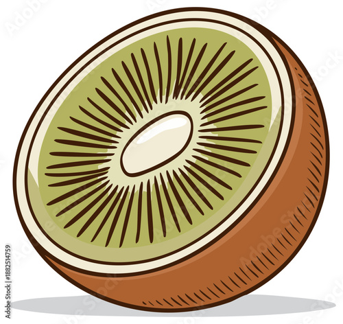 Illustration of cross section of a fuzzy kiwifruit displaying seeded center, refreshing and delicious