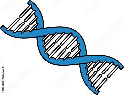 Blue and white double helix D N A model biology