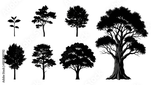 Various black silhouette trees of different shapes and sizes, from sapling to fully grown, arranged in two rows