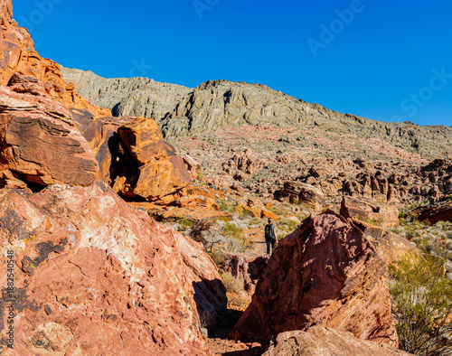 Female Hiker on The Ash Creek Spring Trail, Red Rock Canyon National Conservation Area, Las Vegas, Nevada, USA