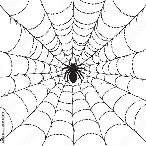Minimalist black and white animation of a spider web being spun, creating a symmetrical pattern against a stark white background. , vector style simple color