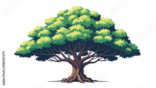 Massive old green tree with a thick trunk and wide spreading branches covered in lush leaves against a white background.