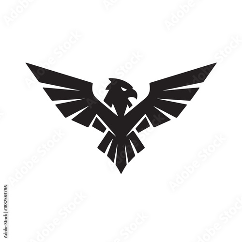 The Latin word for eagle, adding a classic yet modern touch.