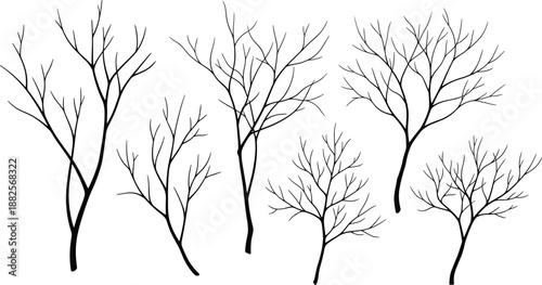 Bare tree branch silhouette collection with leafless winter forest shapes in black minimal style for nature design