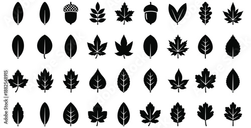 Diverse collection of stylized black and white silhouette icons representing various deciduous tree leaves and an acorn for nature and seasonal design projects