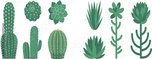 Collection of cacti and succulent plants isolated on white background, desert tropical houseplants set for botanical interior design projects