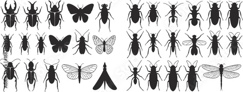 Collection of insect silhouettes including beetles butterflies dragonflies isolated on white background, entomology wildlife vector illustration set design elements icons