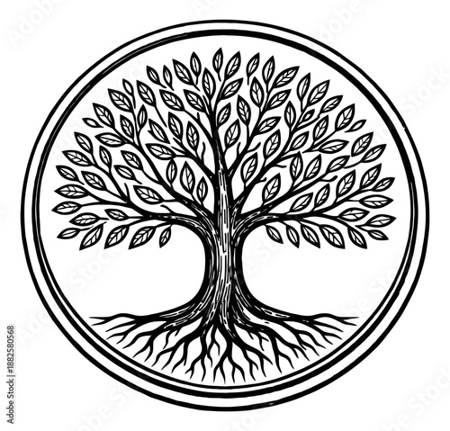 Hand drawn line art illustration of a tree of life depicting growth and spiritual connection for design elements
