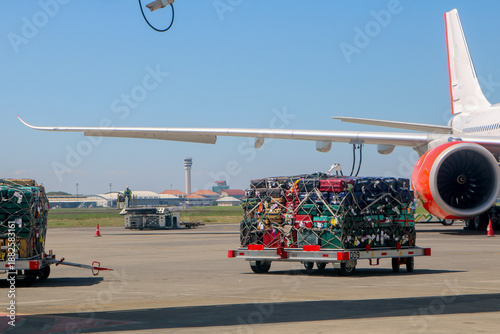 Canvas Print Airport Baggage and Cargo Loading Under Airplane Wing