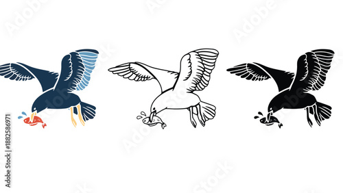 Three seagulls diving for fish in different colors and styles illustration