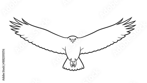 Bird flying with prey in talons