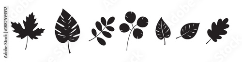 Leaves and flowers icons set pictogram, icon, infographic element. Autumn leaf silhouette on white background vector illustration.