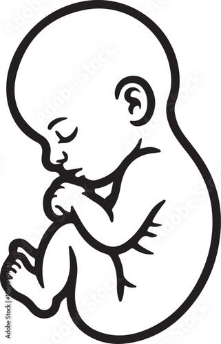 Fetus Icon Isolated on transparent Background. Line Style Vector
