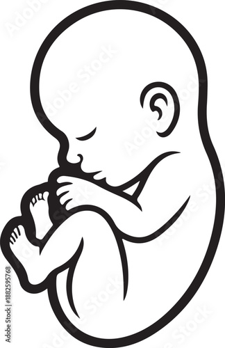 Fetus Icon Isolated on transparent Background. Line Style Vector